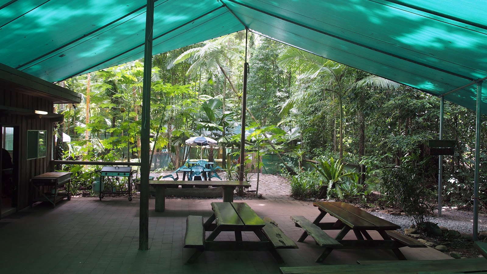 Crocodylus Cafe