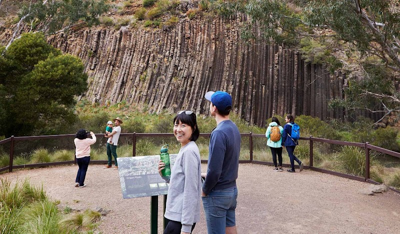 오르간 파이프 국립공원