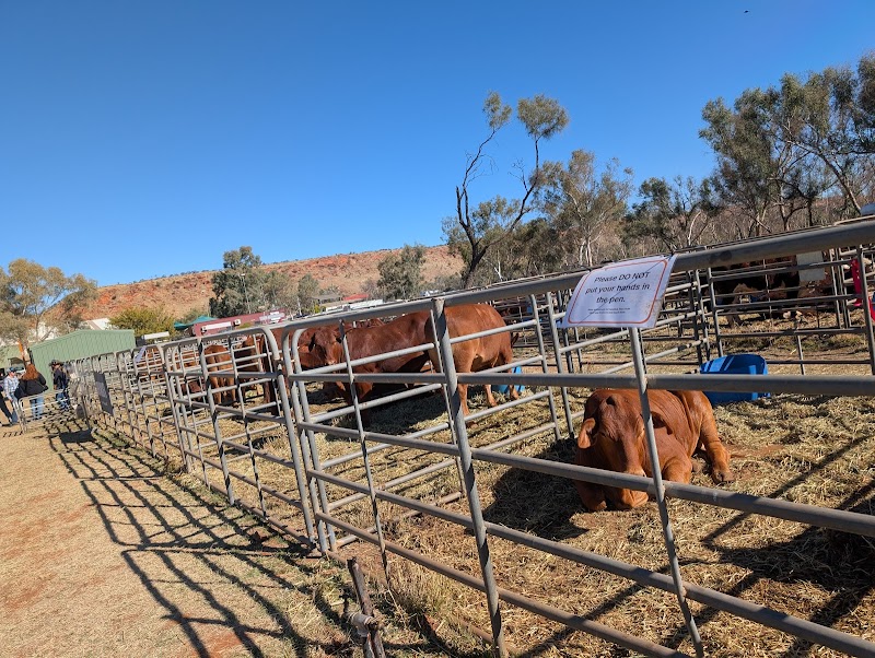 Alice Springs Show